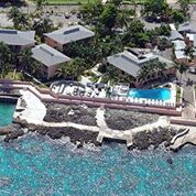 Dive Grand Cayman in Feb 2023!! @ Sunset House, Grand Caymans